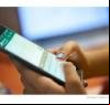 O que significa uma pessoa postar status no WhatsApp todos os dias, segundo a psicologia